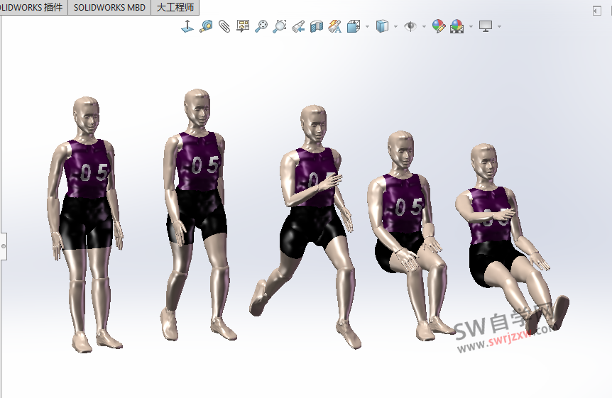 SolidWorks人体模型下载女不同身高下载