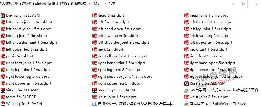 SolidWorks人体模型下载之男士站走跑做模型都有
